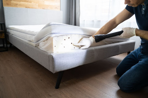 Pest control technician locating bed bugs on a bed during an inspection