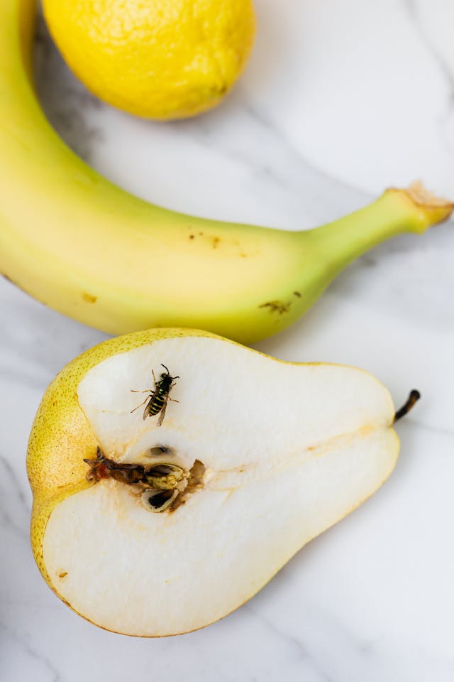 Wasp crawling on a yellow pear. Behind the pear is a banana and a lemon