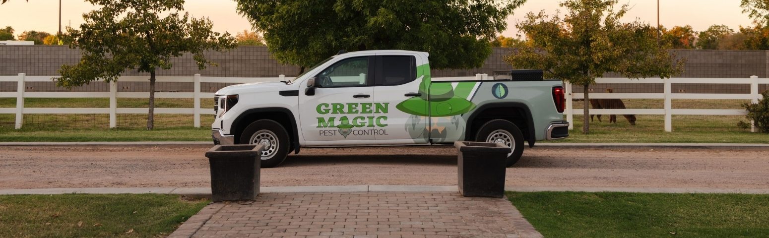 Pest control inspection of outdoor living area in Peoria AZ