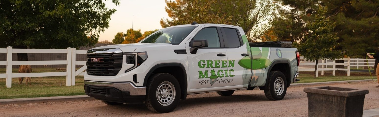 eco-friendly pest control treatment at Tolleson AZ home exterior