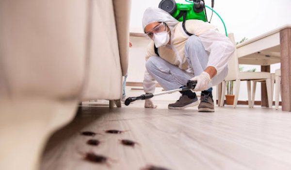 pest control professional spraying for cockroaches under a couch