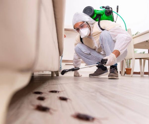 pest control professional spraying for cockroaches under a couch