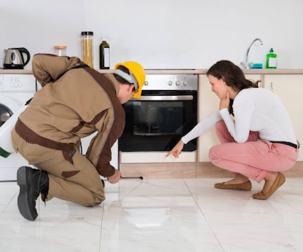 home pest control